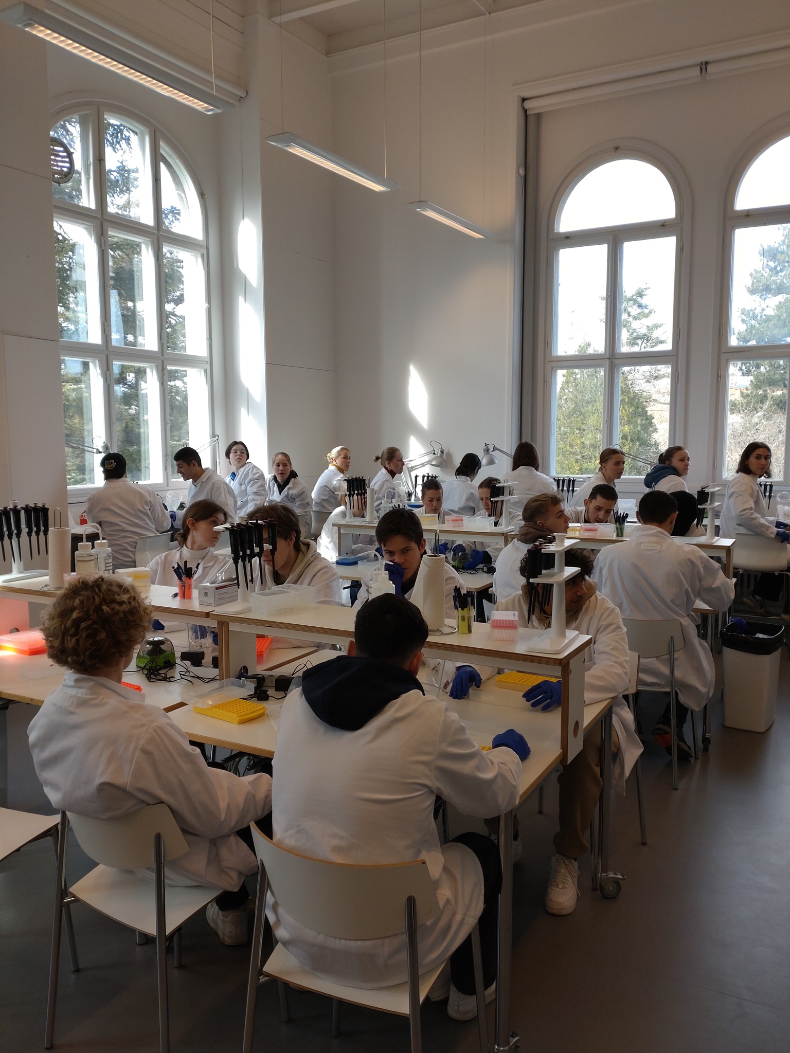 336647811 517974953834818 6594310036658936271 N