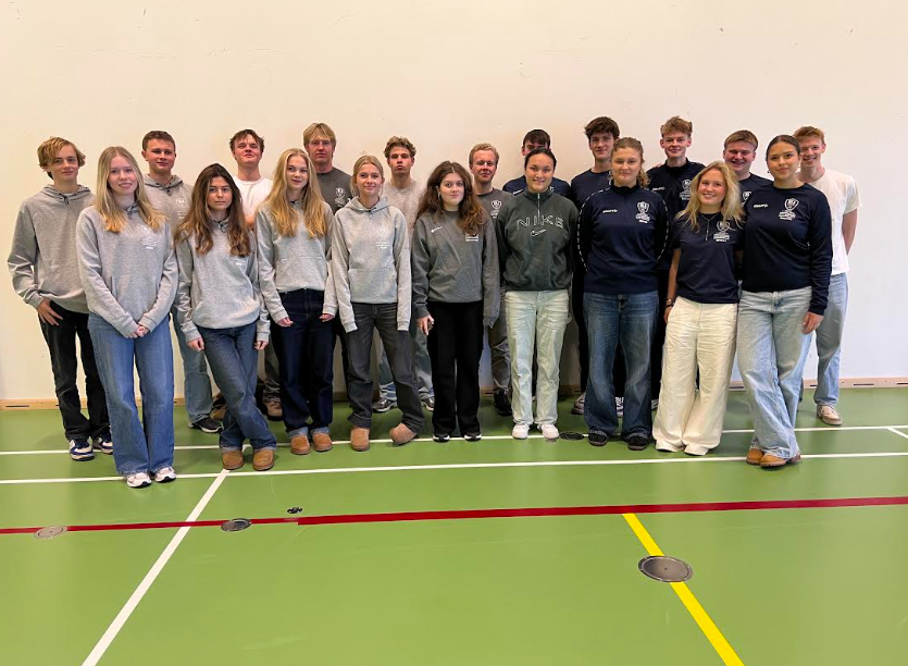 Skærmbillede 2024 12 17 132207